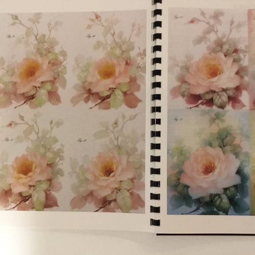 チャイナペインティングの本　10冊セット チャイナペインティングの本 10冊セット 初心者さんにおすすめ