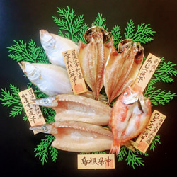 おすすめ干物を食べ比べ♪島根県沖おためし干物セット～日本海の清流海域で前日まで泳いでいたお魚で造りました♪ 1枚目の画像