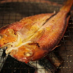 ◆日本海とれたての海の幸を塩のみで仕上げました～島根県沖地魚一夜干し『恵比寿』 3枚目の画像