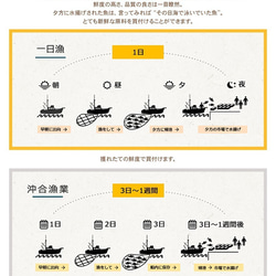 【NHKあさイチで紹介されました】【特大】肉厚のぷりぷり♪しまねの大穴子の一夜干し～天日塩に低塩度仕上げ 9枚目の画像