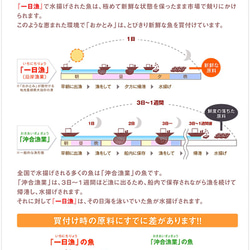 ◆【一日漁】のどぐろ一夜干し～日本海清流海域は脂の乗りがちがいます。 8枚目の画像