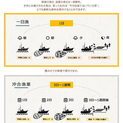 島根県沖あなご＆ひもの３種詰合せ～国産のお魚と塩だけで仕上げた無添加で、からだにこころにおいしい詰合せ 5枚目の画像