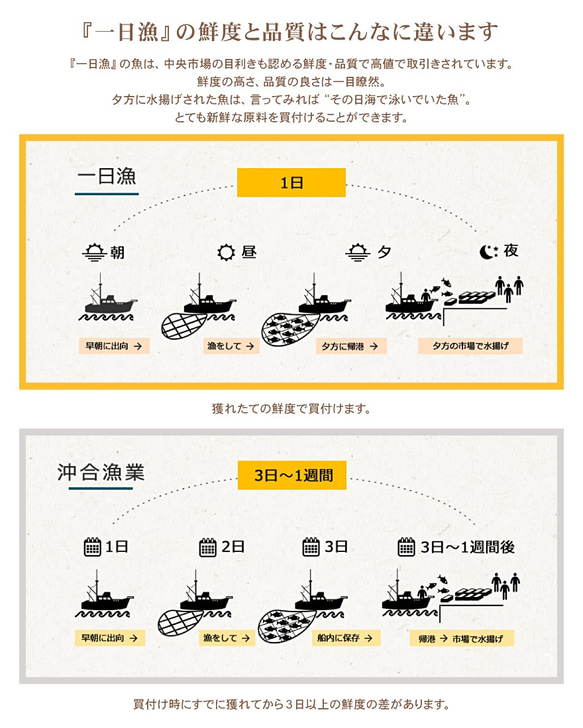 島根県沖あなご＆ひもの３種詰合せ～国産のお魚と塩だけで仕上げた無添加で、からだにこころにおいしい詰合せ 5枚目の画像