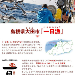【NHKあさイチで紹介されました】島根県沖あなご一夜干し『天女の羽衣』～こだわりの天日塩だけで仕上げました。 5枚目の画像