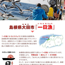 ～天女の羽衣～あなご蒲焼き◆島根産あなご＆再仕込み醤油ダレでおいしい！ 【1本・181-210g】 9枚目の画像