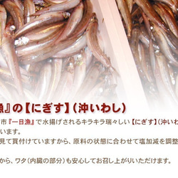 干しキス（ニギス）5袋（3～5尾入り計100ｇ×5）セット～日本海の清流海域で前日まで泳いでいたお魚で造りました♪ 3枚目の画像