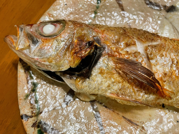 【数量期間限定】一度は食べたい♪鮮魚 のどぐろ(1尾・200～240g)　※漁次第で販売中止・追加販売いたします。　　　 5枚目の画像