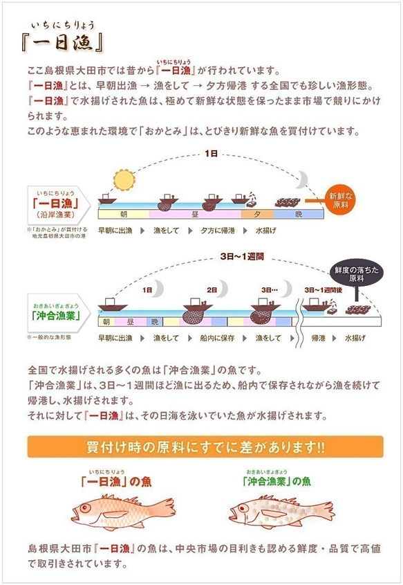 ◆在庫限り◆超不漁で希少な白いか！で造った白いか一夜干し（中）～日本海の清流海域で前日まで泳いでいた白いかで造りました♪ 10枚目の画像