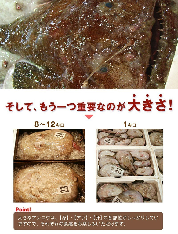 カナダ産あん肝棒＆レシピ＆スープ付★島根沖カンタンあんこう鍋セット～日本海で前日まで泳いでいた特大あんこうで造りました♪ 4枚目の画像