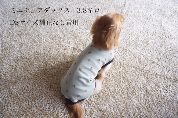 【犬服】オリーブ柄タンクトップ◎くすみカラー　春服　送料込み　3S•Sサイズのみ在庫あり 7枚目の画像