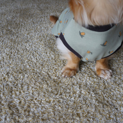 【犬服】オリーブ柄タンクトップ◎くすみカラー　春服　送料込み　3S•Sサイズのみ在庫あり 8枚目の画像