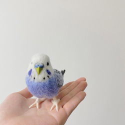 羊毛フェルトのセキセイインコ【オーダーメイド】 2枚目の画像