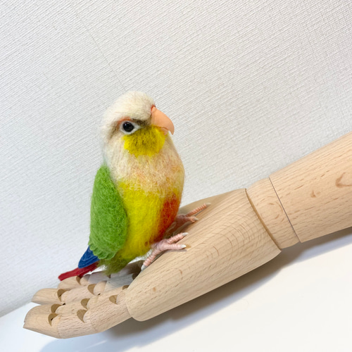 羊毛フェルトのホオミドリアカオウロコインコ【オーダーメイド】 羊毛