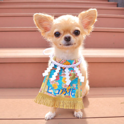 ハンドメイド犬の服ターコイズ