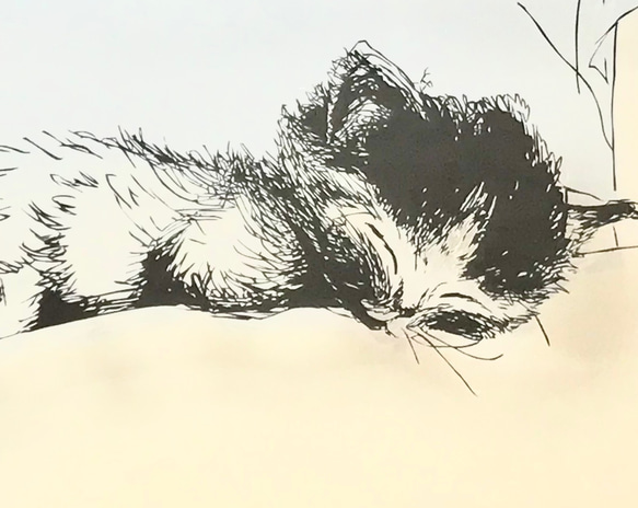 [有框（白色或黑色）] 鏤空 258 x 319mm 尺寸/小貓/小睡 第2張的照片
