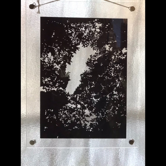 切り絵「木漏れ日」ハガキ〜A4サイズ/モノクロ/風景 3枚目の画像