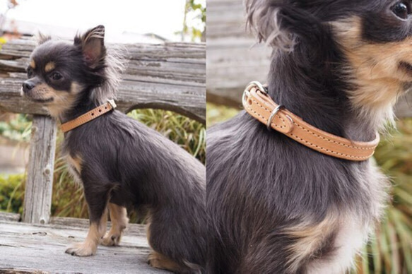 オーダー ヌメ革 の 首輪　サイズ 相談可能　小型犬用　～刻印オーダー無料～ 4枚目の画像