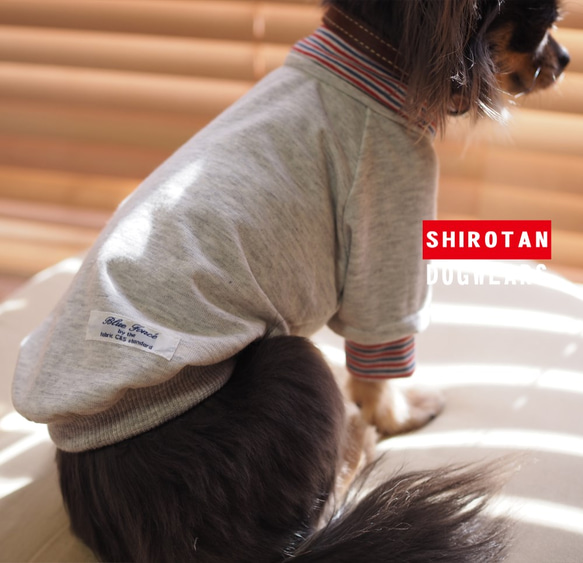 SS / S / M / 　ラグラン袖　重ね着風Ｔシャツ　小型犬用　 1枚目の画像