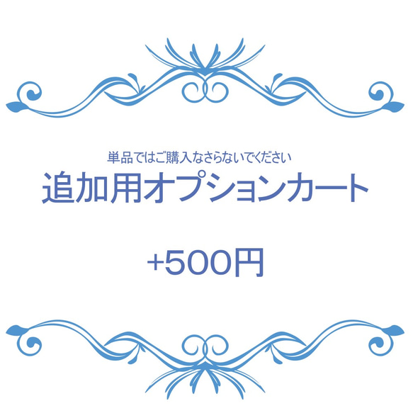 オプションカート　+500円 1枚目の画像