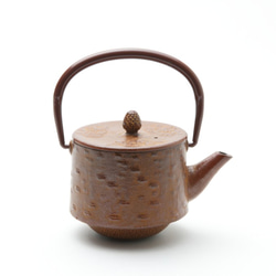 鉄瓶　鉄急須　桜皮柄　鍋敷付　銘器 桜皮」鉄瓶 文秀堂 南部鉄器 IH対応 | 岩鋳・文秀堂 | | 西沢