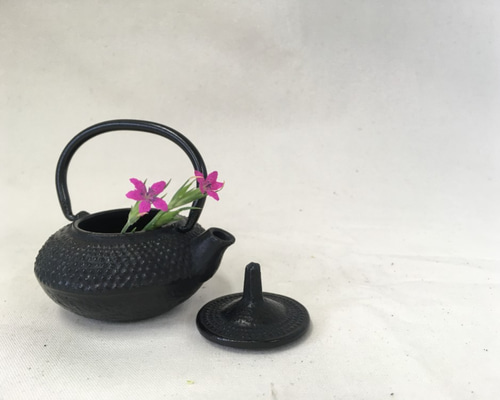 0_d042d10cf69e971f10b0da0e2866