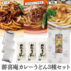 【本州のみ送料無料】老舗うどん店が作る「本格カレーうどん３種セット」 2枚目の画像