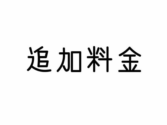 追加料金３００円分 1枚目の画像