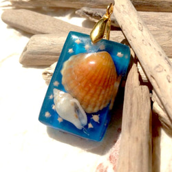 貝殻レジンのペンダントトップ 1枚目の画像