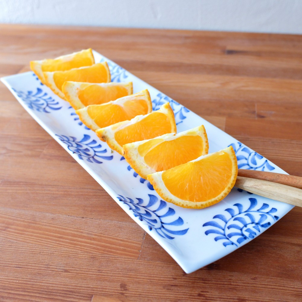 染付蛸唐草文長角皿