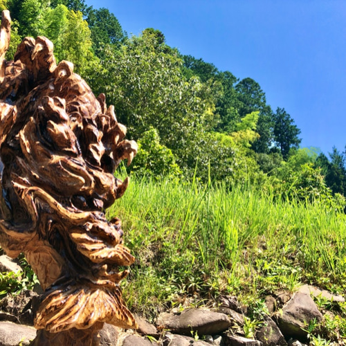 龍 チェーンソーアート作品 彫刻 木彫り 杉 置物 オブジェ 干支 龍 チェーンソーアート作品 彫刻 木彫り 杉 置物 オブジェ 干支