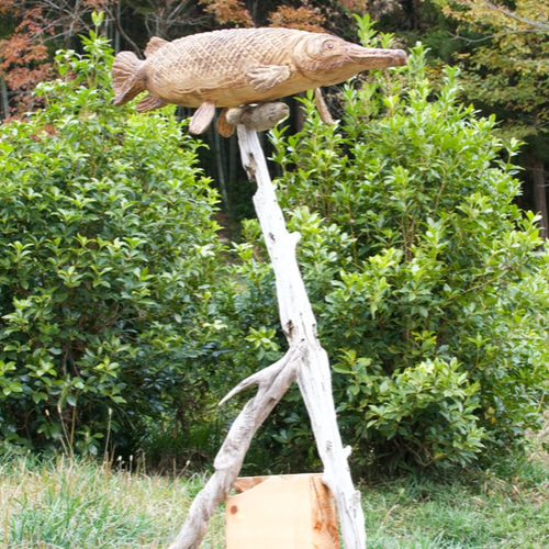 アリゲーターガー チェーンソーアート作品 木彫り 彫刻 魚 彫刻