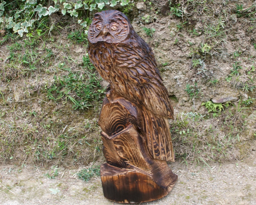 茶色いブラウン しぇふ染め×かけるり 土身フクロウ 一人でも行ってもいいの？ちょっとハードルが高そうで緊張します