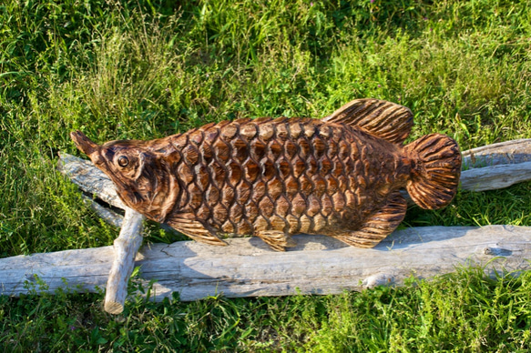 アロワナ　龍魚　「アンティーク仕上げ」　チェーンソーアート彫刻作品 2枚目の画像