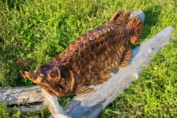 アロワナ　龍魚　「アンティーク仕上げ」　チェーンソーアート彫刻作品 3枚目の画像