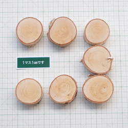 両面研磨輪切り（シラカバ）小７枚 2枚目の画像