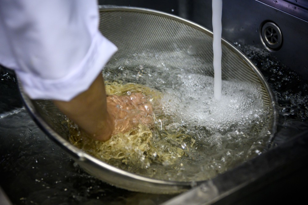 【送料無料】信州そば　生そば８人前　二八そば　つゆ・国産生棒わさび・七味唐辛子・のり・ねぎ付