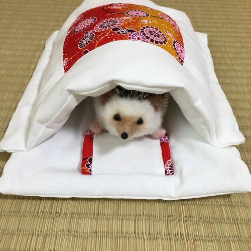 ハリネズミ寝袋 きき01様 （ハリネズミ寝袋 ドーム型ブラウンの