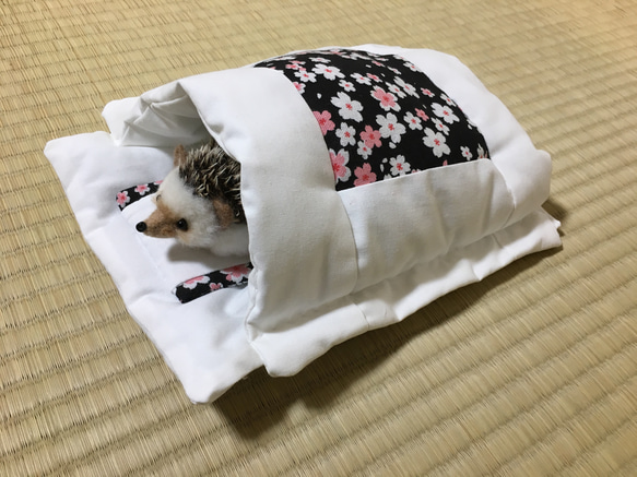 ハリネズミ寝袋