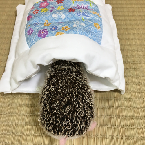 ハリネズミ寝袋 ソファーC ていねい 
