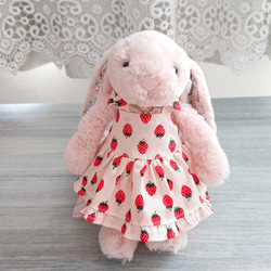 ◇レトロローズのビッグ襟チェックフリルワンピース*ぬいぐるみ服