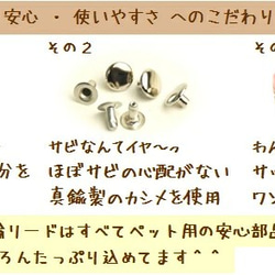 ドット柄（約2.5mm玉）1　オリジナル小型犬用首輪1.5cm幅 8枚目の画像