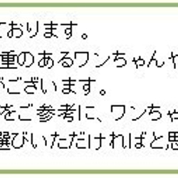 ドット柄（約2.5mm玉）２　オリジナル小型犬用首輪1.5cm幅 10枚目の画像