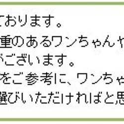 花柄3　オリジナル小型犬用首輪1.5cm幅 8枚目の画像