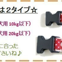 ドット柄（約2.5mm玉）1　中型犬用首輪2cm幅 10枚目の画像