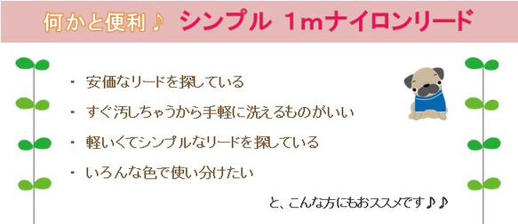 シンプルナイロンリード　小型犬用1.5cm幅×1m（リード全長約122cm） 8枚目の画像