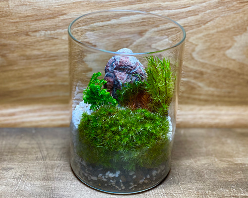 ❣️苔アート❣️ シャネイル様❣️苔リューム❣️オーダー4点セット❣️送料込み❣️ ❣️苔アート❣️ シャネイル様❣️苔リューム❣️オーダー4点