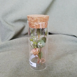 ボトルフラワー  ピンク&ホワイト  ～bottle flower  medium  ～ 3枚目の画像