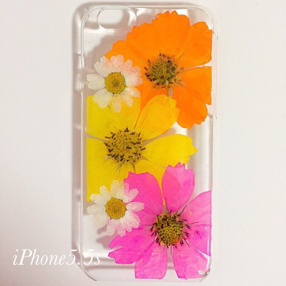 カラフル 大輪の花 コスモスの押し花 iPhoneケース 5.5s 1枚目の画像