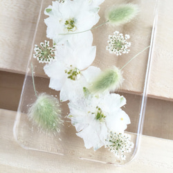 Whiterabbit 千鳥草とラグラス 押し花iPhoneケース 3枚目の画像