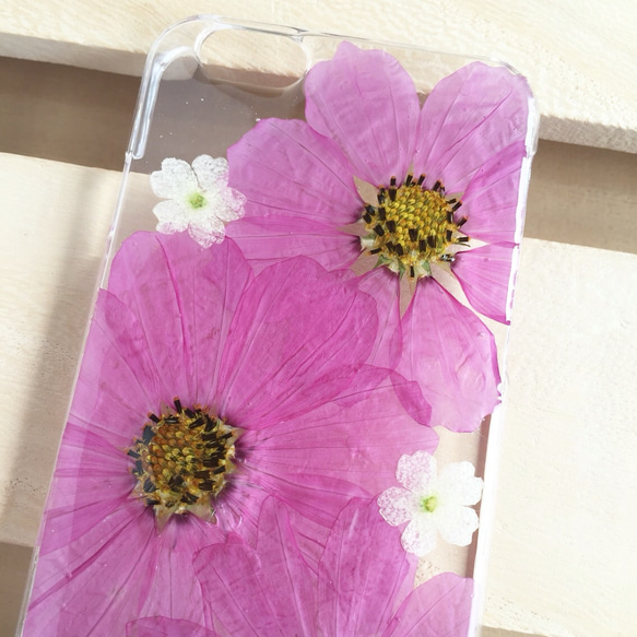 コスモスとバーベナ 秋のシンプル押し花ケース iPhone Xperia 2枚目の画像